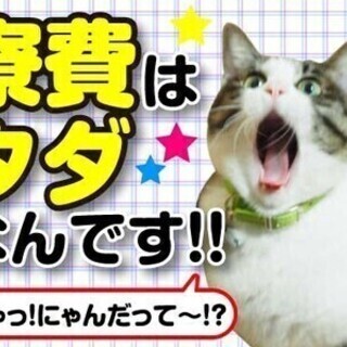 ★佐伯市・高時給★寮費無料！！なんと電気・水道・ガス無料！！ 株...