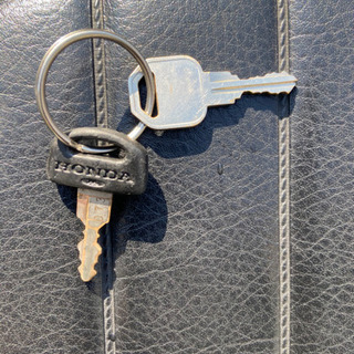 12V化ゴリラ美車！