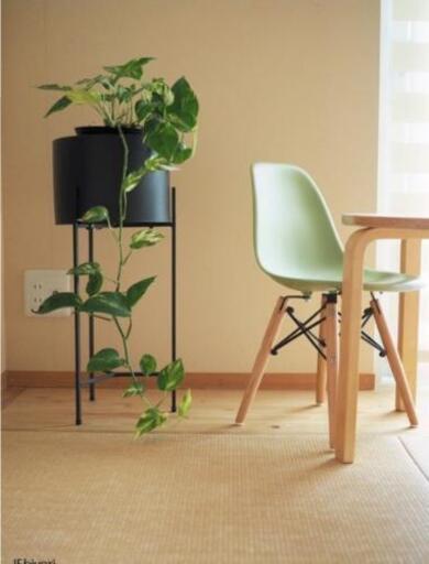 取引中 ニトリ プランターポット スタンド みーくま 武蔵小金井のインテリア雑貨 小物の中古あげます 譲ります ジモティーで不用品の処分