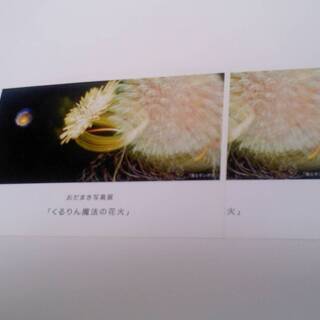 新品　「くるりん魔法の花火」　おだまき写真展　ポストカード　2枚セット