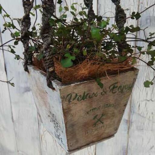 観葉植物 ワイヤープランツ スペード ゆっぴー 亀有の家具の中古あげます 譲ります ジモティーで不用品の処分 観葉植物 ワイヤープランツ スペード ゆっぴー 亀有の家具の中古あげます 譲ります ジモティーで不用品の処分