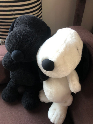 スヌーピー 白黒ぬいぐるみ Naoto 旗の台のおもちゃ ぬいぐるみ の中古あげます 譲ります ジモティーで不用品の処分 スヌーピー 白黒ぬいぐるみ Naoto 旗の台のおもちゃ ぬいぐるみ の中古あげます 譲ります ジモティーで不用品の処分