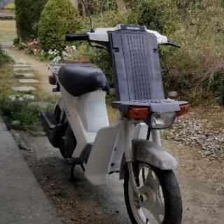 スズキ　50cc モレット