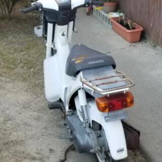 スズキ　50cc モレット