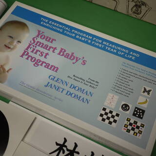 希少 ドーマン研究所 賢い赤ちゃんのファースト・プログラム カード