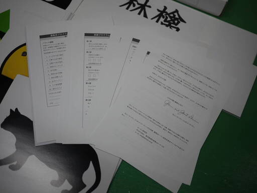 希少 ドーマン研究所 賢い赤ちゃんのファースト・プログラム カード