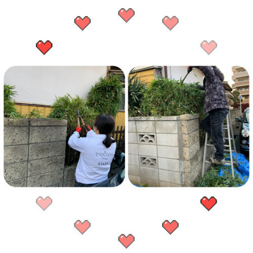 習志野市の便利屋 運搬代行 重量物 引っ越し代行 格安 運搬 お荷物運びます 暮しの何でもサポーター りり 京成津田沼の便利屋 の無料広告 無料掲載の掲示板 ジモティー 習志野市の便利屋 運搬代行 重量物 引っ越し代行 格安 運搬 お荷物運びます 暮しの何でもサポーター りり 京成津田沼の便利屋 の無料広告 無料掲載の掲示板 ジモティー