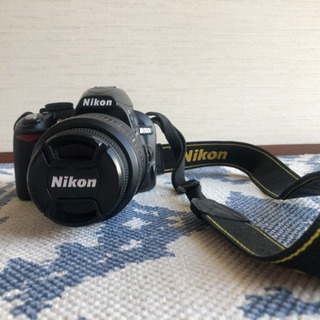Nikond3100