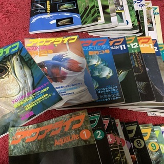 古いフィッシュマガジン、アクアライフ創刊号、全部で128冊
