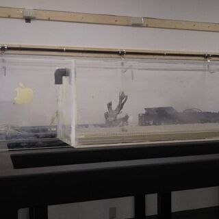 スチール水槽台180+上部フィルター180(2点セット販売)