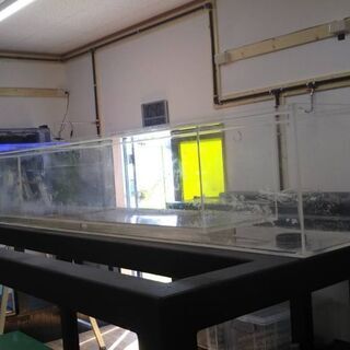 スチール水槽台180+上部フィルター180(2点セット販売)