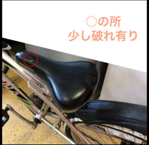 DIDIT 24 - NESTO 24インチ 子供自転車 Sedna 6変速 マウンテンバイク 