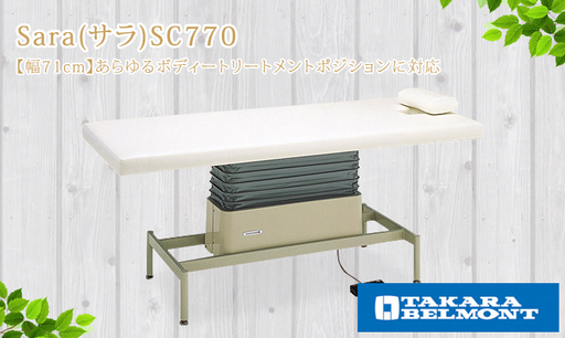 【定価259,000円】タカラベルモント製 電動昇降ベッド