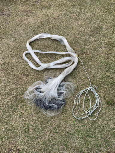 投網