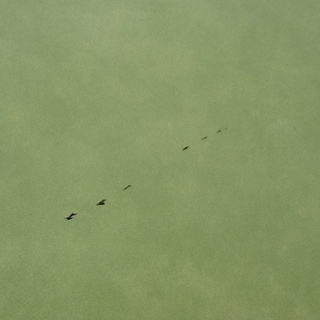 【値下げました】1台限 カイロベッド アプローチベッド 高田ベッド製作所の製品 必要な方はどうぞどうぞ