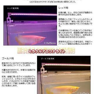 その他 ミラクルアロワナライト レッドST-90 ver.2