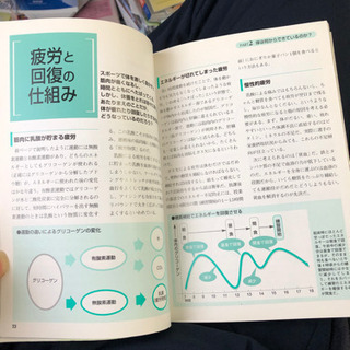 スポーツ選手の栄養学と食事プログラム