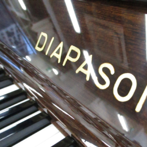 展示中 リフレッシュ済み中古 DIAPASON ディアパソン 132 伝統のブランド