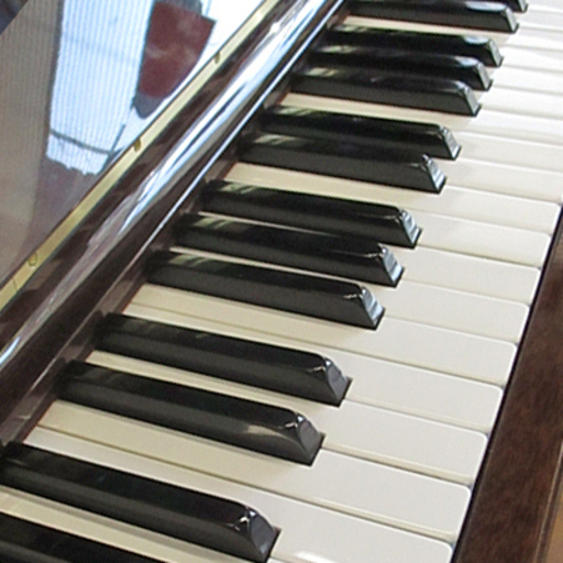 展示中 リフレッシュ済み DIAPASON ディアパソン 132 伝統のブランド