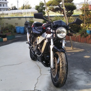 中古車】スズキ ウルフ250 (1989) K型 (RGV250Γ )