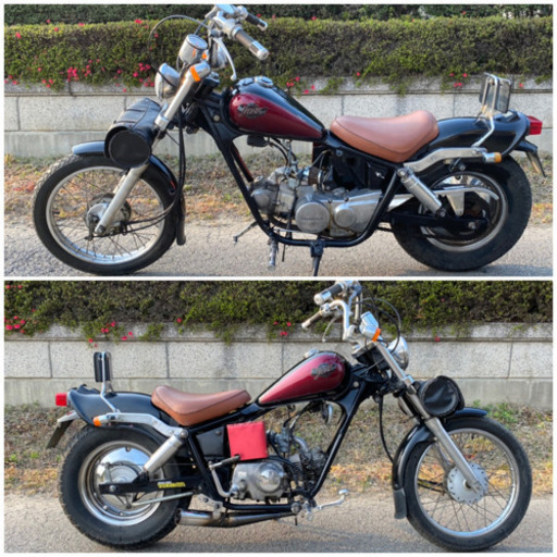 ☆ジャズ50☆バッテリー・プラグなど新品交換^_^色々整備して快調です☆ホンダの50ccアメリカンバイク☆ ☆ジャズ50☆バッテリー・プラグなど新品交換^_^色々整備して快調です