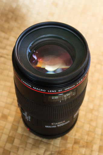 【美品】Canon EF100mm F2.8L マクロ IS USM