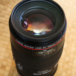 【美品】Canon EF100mm F2.8L マクロ IS USM