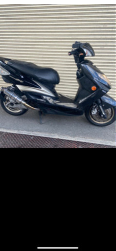 シグナス2型(国内仕様)