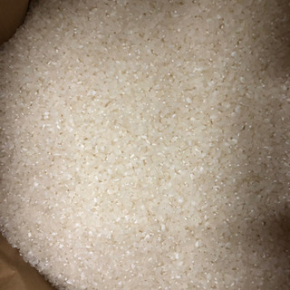 食品 お米