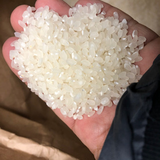 食品 お米