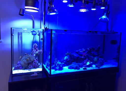 90×45×45連結オーバーフロー水槽