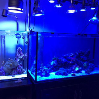 90×45×45連結オーバーフロー水槽