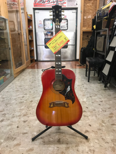 木曽鈴木バイオリン社 アコースティックギター B13 www