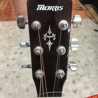 Morris アコースティックギター B14