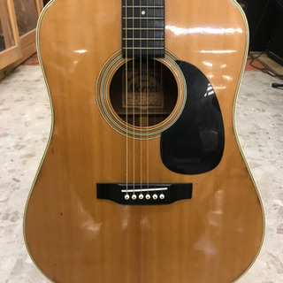 Morris アコースティックギター B17 【公式通販】