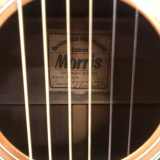 Morris アコースティックギター B17 【公式通販】