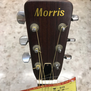 Morris アコースティックギター B17 【公式通販】