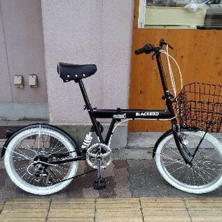 ウィンウィン トレカ セット