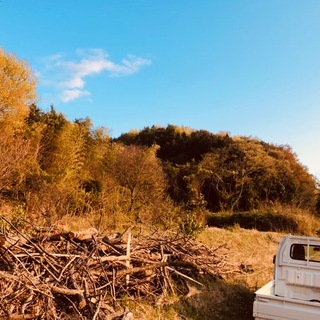 薪・原木について