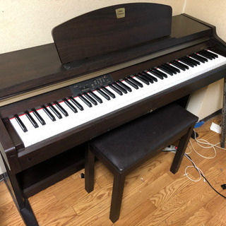 クラビノーバいかがですか？