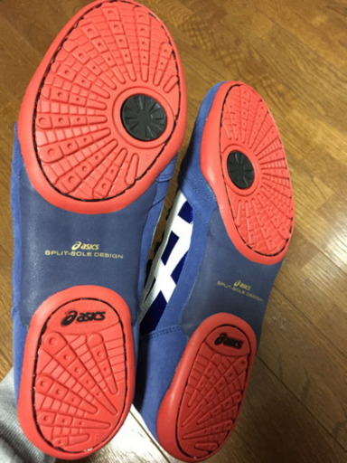 新品未使用のアシックスのレスリングシューズ | stainu-tasikmalaya.ac.id