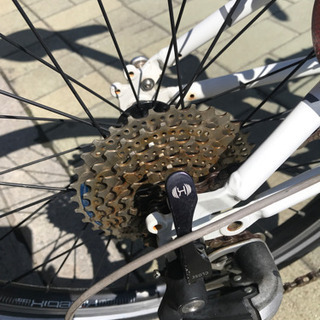 ダホンのスピード8 2010年製 高級品 輪行できます、ほとんど錆び