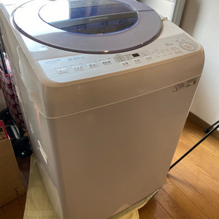 シャープ 洗濯機8kg 2019年製 ES-GV8C-S 美品 【公式通販】