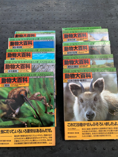 動物大百科！20巻セット！コロナで自宅待機の暇つぶしに！
