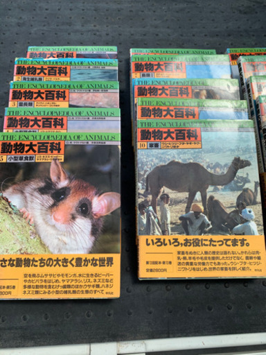 動物大百科！20巻セット！コロナで自宅待機の暇つぶしに！ 動物大百科！20巻セット！コロナで自宅待機の暇つぶしに！