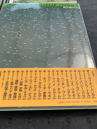 動物大百科！20巻セット！コロナで自宅待機の暇つぶしに！