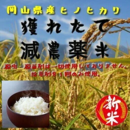 残り2袋！ 新米！ 減農薬米！ ヒノヒカリ！！30kg！