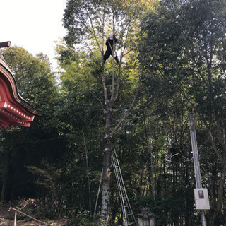 庭の手入れ　植木の剪定　草刈り