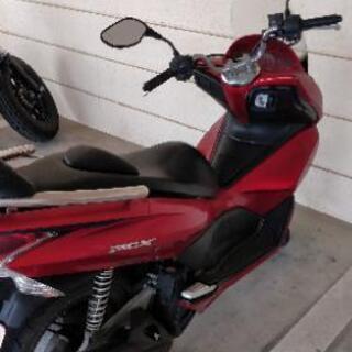 PCX125 レッド 小型バイク