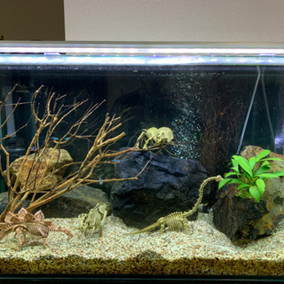 水槽90と35 外部フィルター、LED照明、エアポンプ付き